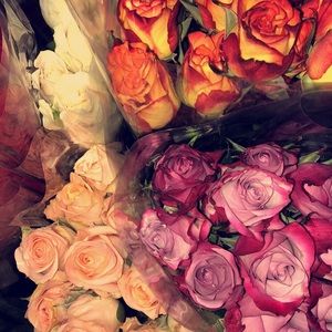 Meet your Posher, Kortney